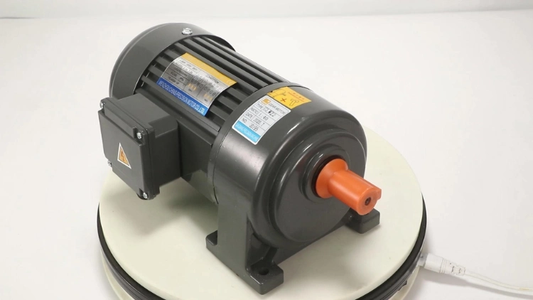 High Level Single Phase Gearmotor with 2 Capacitors