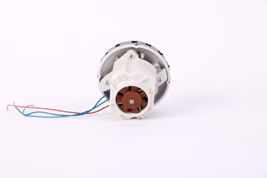 12V 1200W Handheld High Speed BLDC/ Brushless DC Vacuum Cleaner Motor/ Sweeping Machine/ Sweeping Cars/ Spraying Vehicle/ Floor Scrubber
